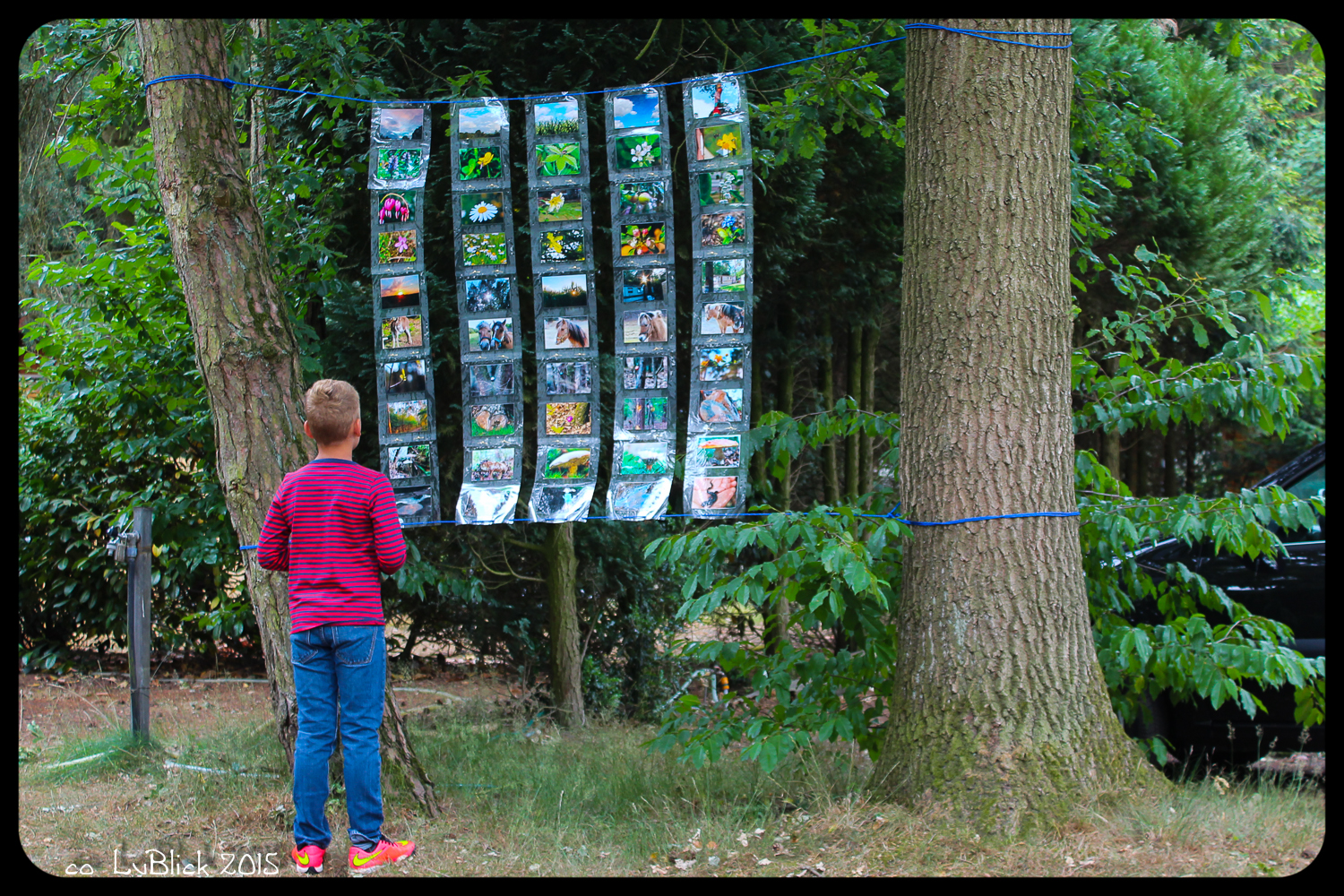 Landart-Fotowand in der Natur - erster Gast